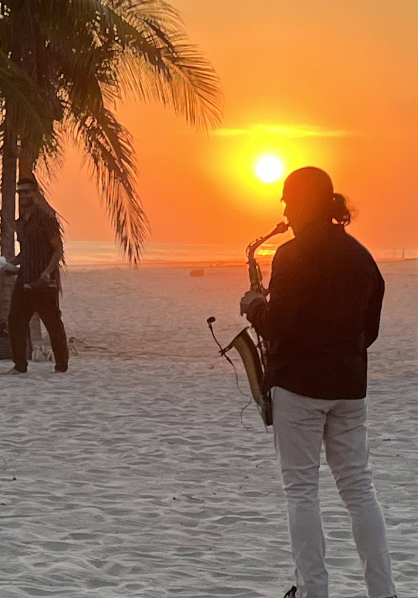 Silueta al atardecer con palmera